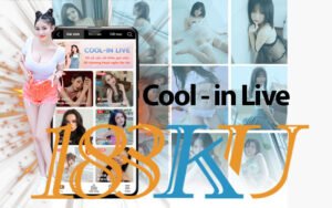 cool-in live ku casino